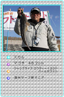 2012EST秋季大会　その他　魚種 部門　マゴチ