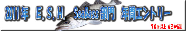 2011年　ＥＳＨ　SeaBass部門　年間エントリー